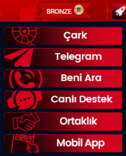 Arama Talebi ile E-Posta Adresi Güncelleme